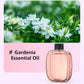 🥇New year Hot Sale - 49% OFF🥇Automatic Fragrance Spray for Home